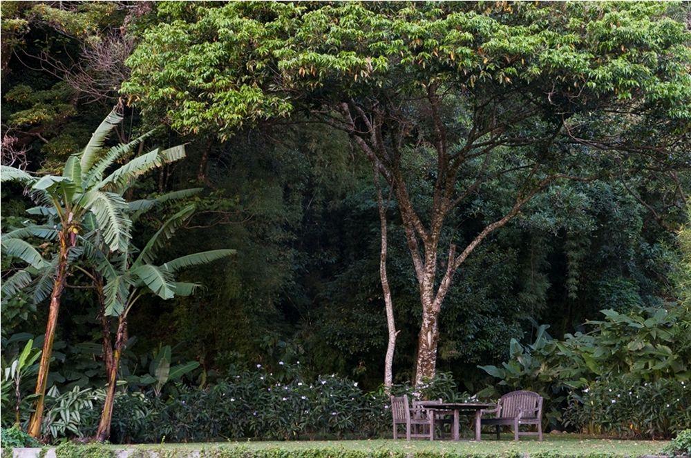 The Haven - Hotel & Spa, - Adults Only Boquete Luaran gambar