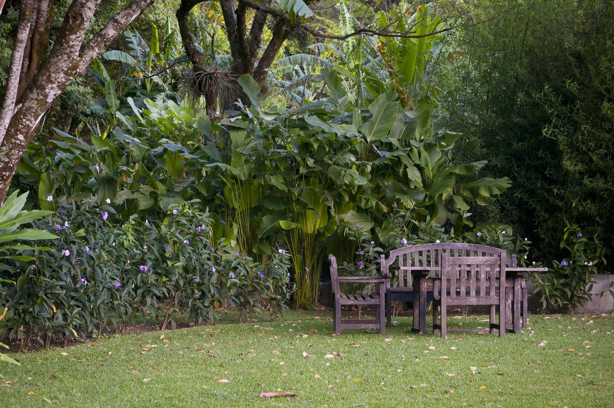 The Haven - Hotel & Spa, - Adults Only Boquete Luaran gambar