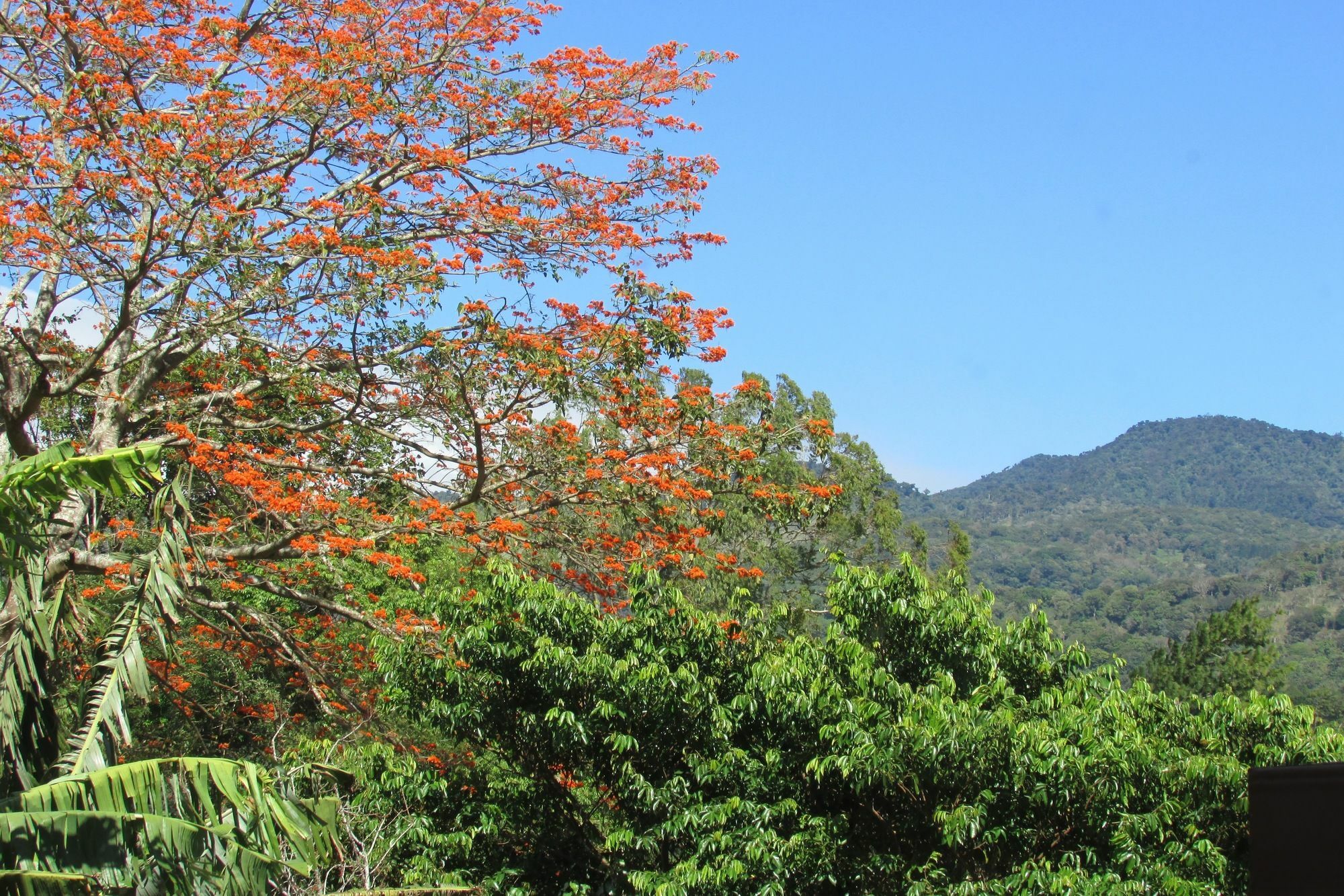 The Haven - Hotel & Spa, - Adults Only Boquete Luaran gambar