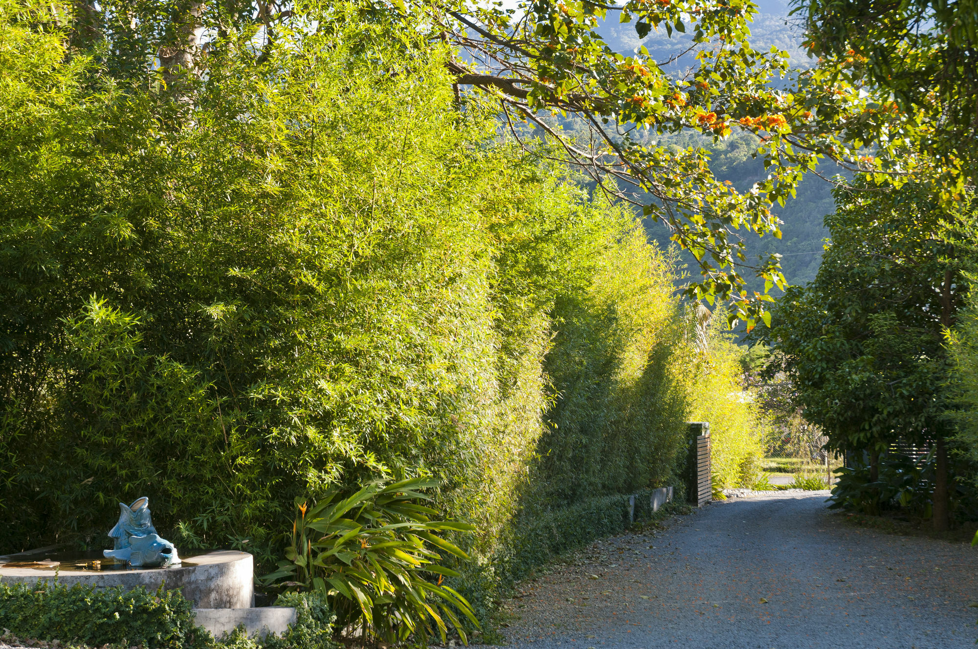 The Haven - Hotel & Spa, - Adults Only Boquete Luaran gambar